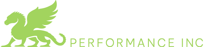 Fiscal Performance